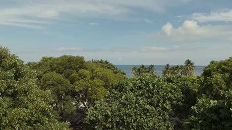 Aerial-reveal-view-of-Biscayne-Beach-in-Florida