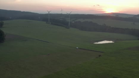 Windkraftanlagen-Mit-Grasenden-Pferden-Im-Vordergrund