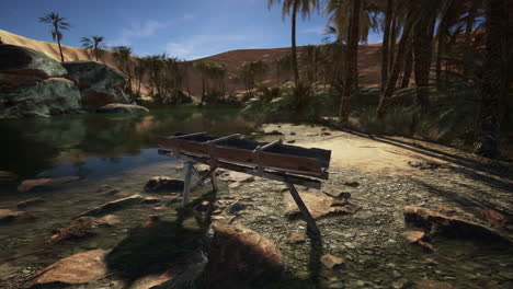 Oasis en el desierto