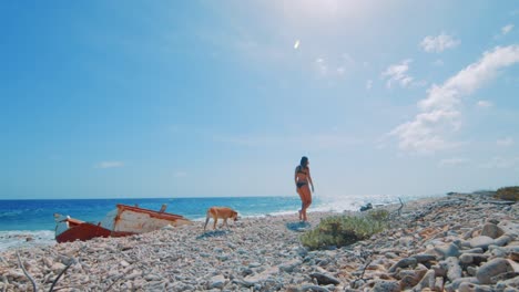 Mujer-Joven-Y-Un-Perro-Caminando-Por-La-Costa-Rocosa-Con-Un-Barco-Naufragado