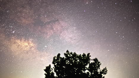 The-Milky-Way-slips-past-behind-an-old-pine-tree-on-Mount-Olympus-in-Cyprus