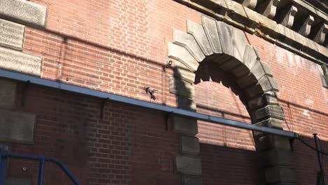 static shot of a brick wall with moving shadows of people moving through the frame