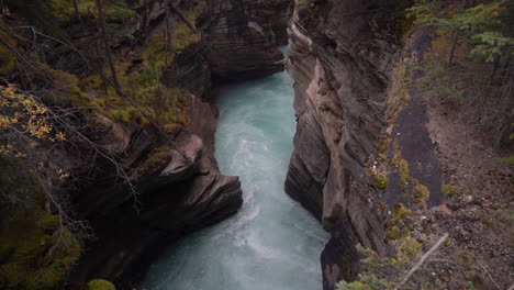 athabasca river canyon, jasper national park, alberta, canada, downstream of scenic falls, alpine water rapids, slow motion