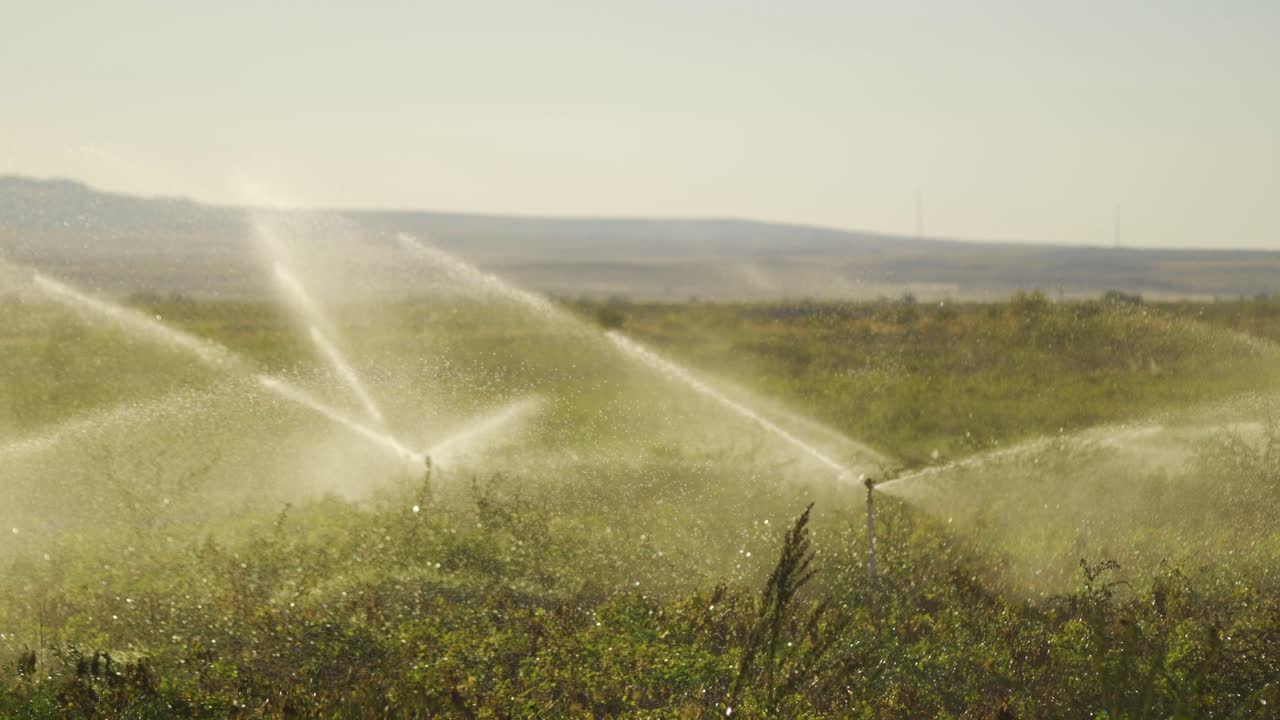 sistema de riego de campo. sistema de riego con rociadores.