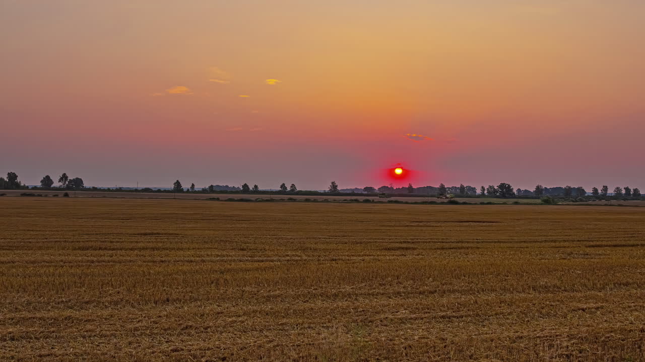 해가 뜨는 동안 시골 도로 근처에서 작동하는 농장 트랙터와 함께 농장
