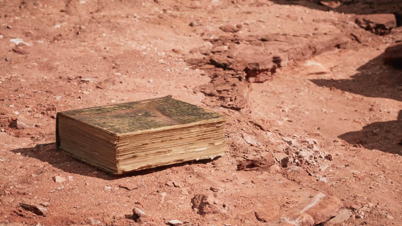 vecchio libro nel deserto di red rock