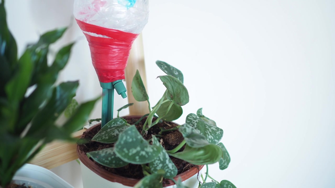Sistema di irrigazione a goccia automatico fai da te per piante in vaso da interno