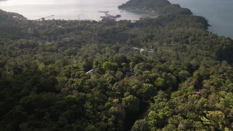 Aerial-footage-of-pristine-tropical-woodland-rain-forest-tilts-up-to-Bang-bao-bay,-fishing-village