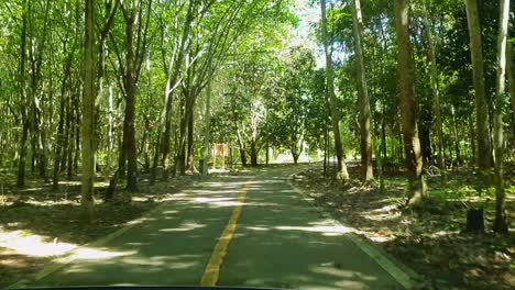 pov: driving a car on a jungle forest road on the koh chang island, thailand, asia