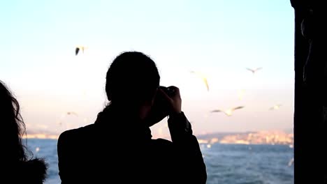 taking seagull photo sea ferry