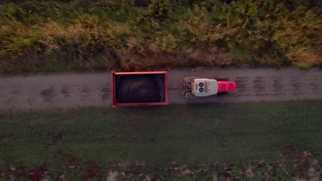 tractor con baúl lleno de uvas que regresa a la granja en el sur de francia