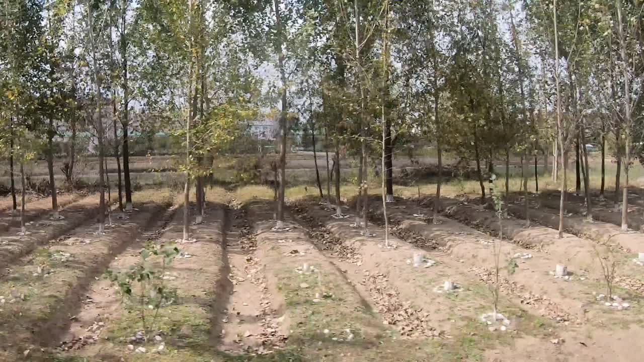 走行中の列車から見た北朝鮮の田園風景。