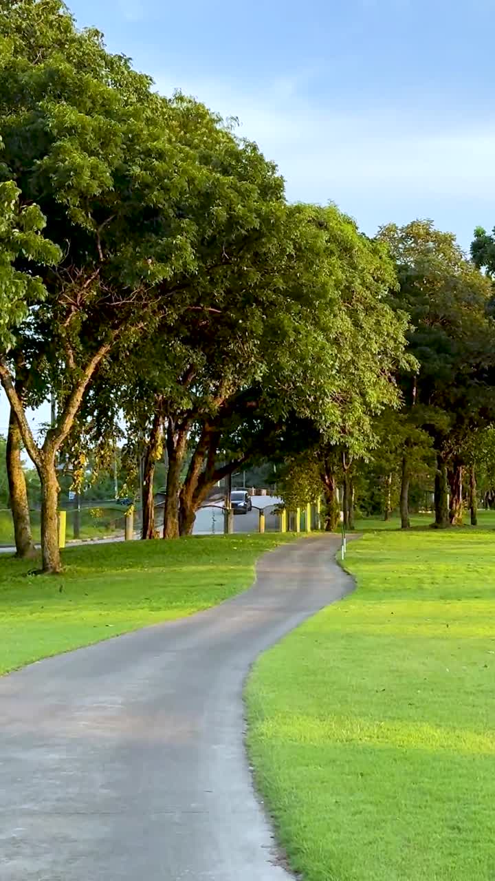 un paseo pacífico a través de un paisaje verde exuberante