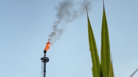 Teleaufnahme-Einer-Brennenden-Gasfackelindustrie-Im-Kontrast-Zu-Einer-Grünen,-üppigen-Pflanze