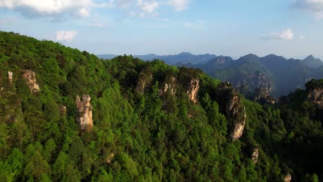 Dense-vegetation-and-towering-karst-pillars-in-Zhangjiajie-National-Forest-Park,-China