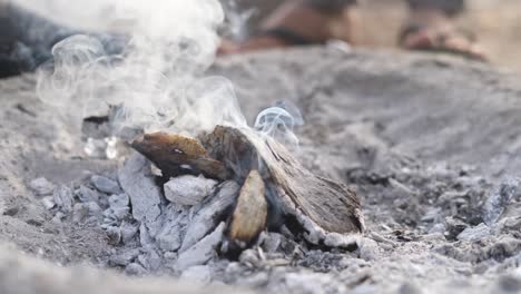 static shot of smoke coming out of wood fire on a winter morning in india