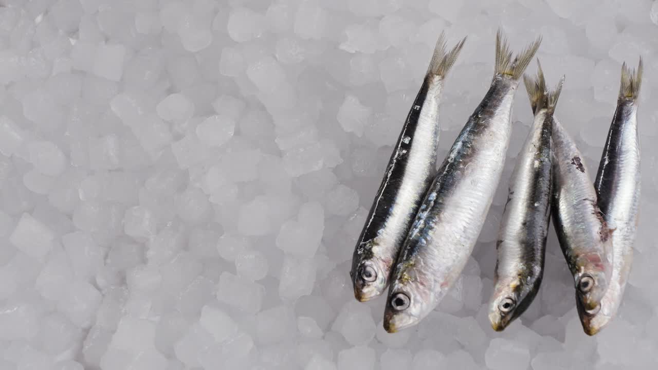 Fresh Sardines on Ice