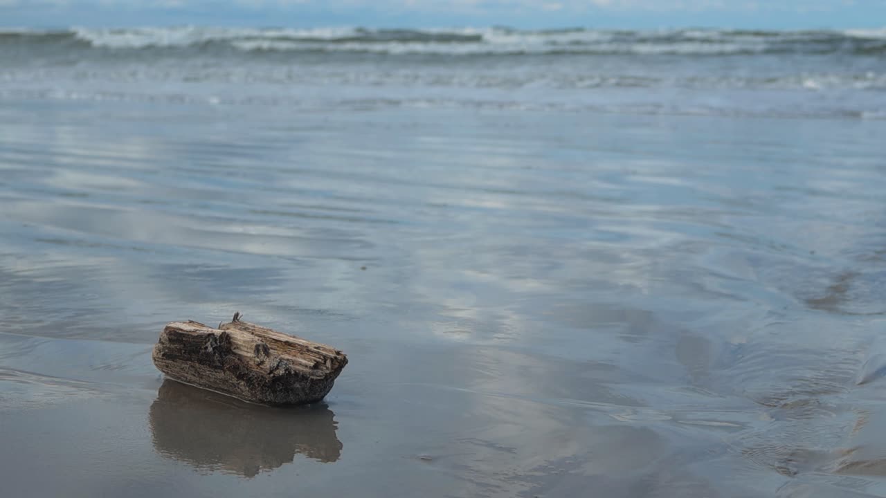 Piece of brown little driftwood on a wet beach shoreline with green and blue ocean sea water waves moving in the background in slow motion. The surface of the water is reflecting the wood with shadows