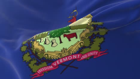 flag of vermont state, united states. loop