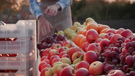 counter with seasonal fruit at the farmers market 3