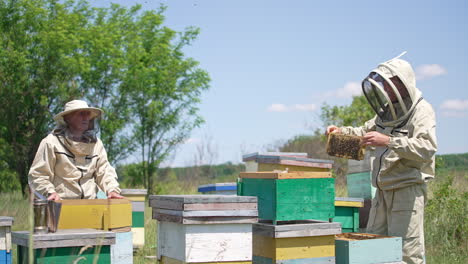 two beekeepers working in the apiary. men communicating during their collaboration at bee farm. nature backdrop.
