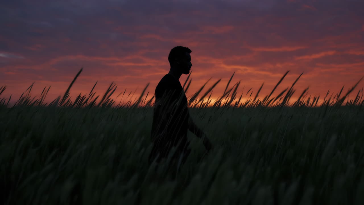 해가 지는 동안 들판에서 고 있는 남자
