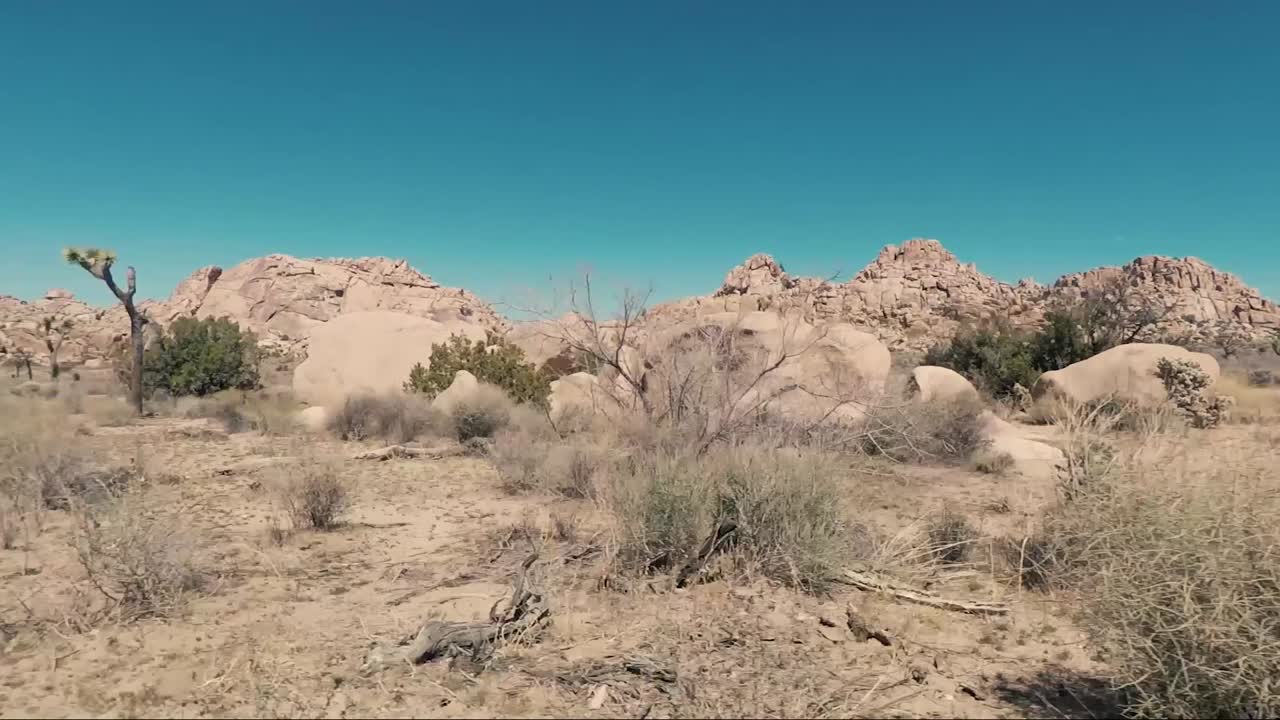 Driving through the desert near Joshua Tree National park on a beautiful summer day