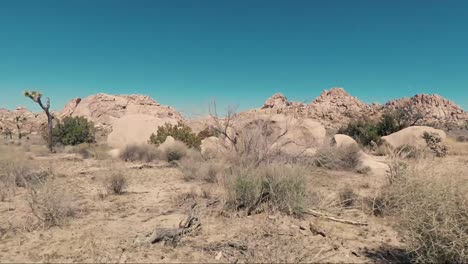 driving through the desert near joshua tree national park on a beautiful summer day