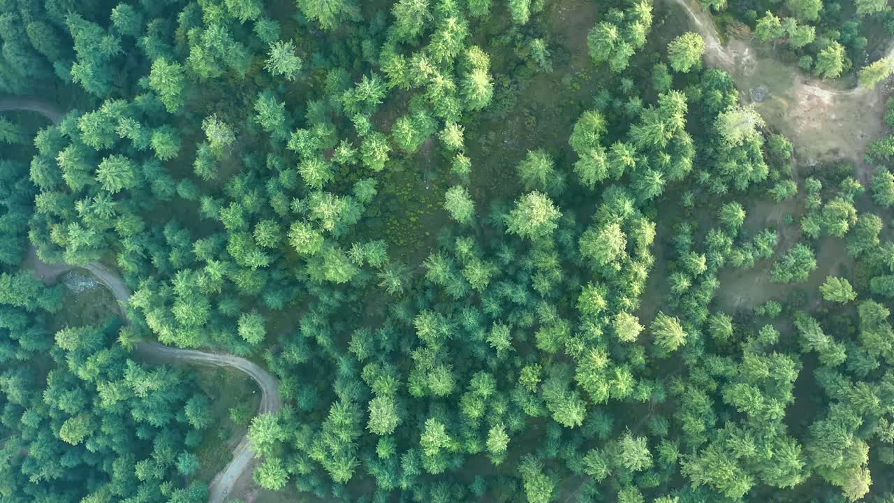 imágenes de drones en 4k, vista aérea de patriata murree, paisaje de bosque de pinos verdes exuberantes y ascensor de sillas patriata, nuevo murree, punjab, pakistán, videos de bosque en 4k.