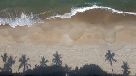 Escena-De-Playa-En-Un-Día-Soleado,-Sombra-De-Cocoteros-En-La-Arena