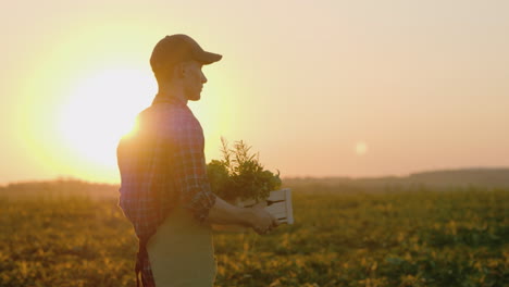 a young farmer carries a box with greens and spices goes by its field 4k video