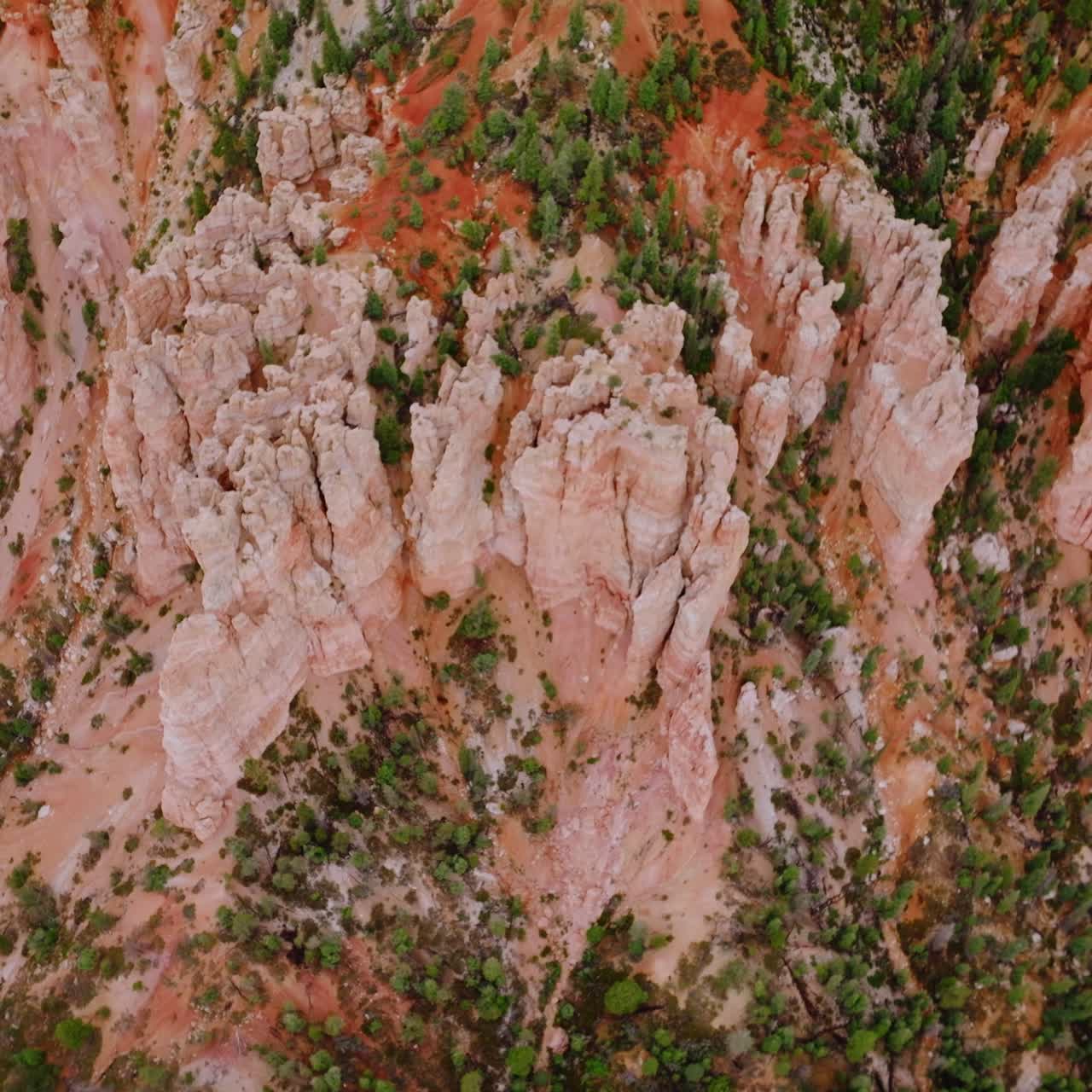 Slow descending over the tremendous rocks of Bryce Canyons in Utah, United States. Little pine trees grooving on the slopes of wonderful landscape. Top view