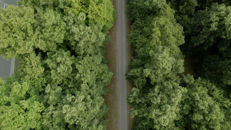 Vista-Aérea-De-Arriba-Hacia-Abajo-De-Un-Dron-Sobre-Un-Sendero-Para-Bicicletas-Rodeado-De-árboles