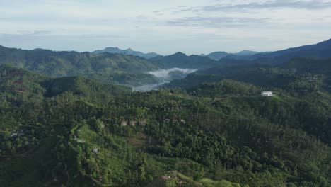 exuberantes montañas de sri lanka, selva tropical desde arriba, antena