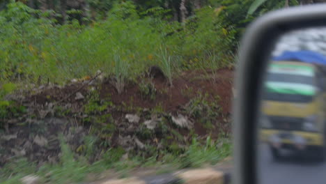 car driving down road next to sumatran rainforest, creative mirror shot