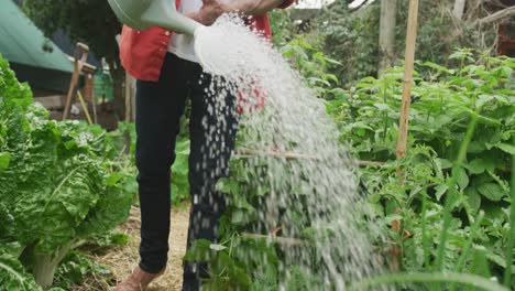 Senior-caucasian-man-watering-plants-and-working-alone-in-garden