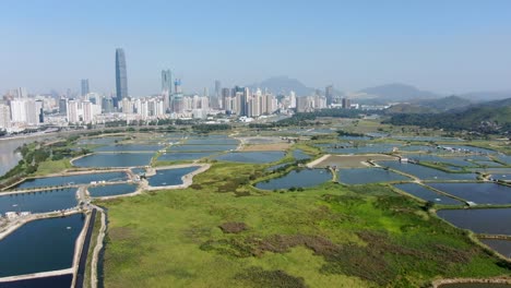 深圳天际线 中国大陆从香港洛克马乔村地区看