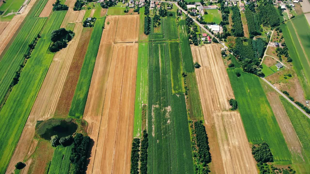 Aerial view of green fields and sun in the sky
