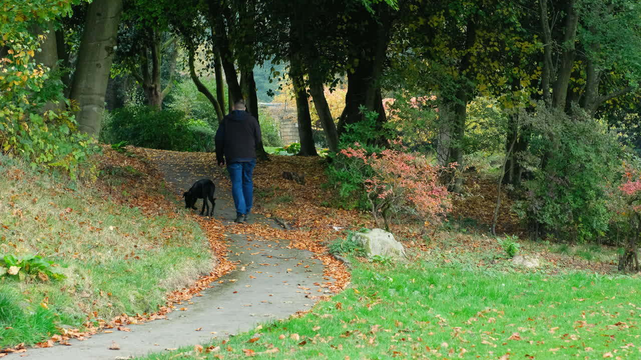 A man walks his black dog away from camera along a winding path through autumn trees in a park, surrounded by fallen golden leaves and soft seasonal light