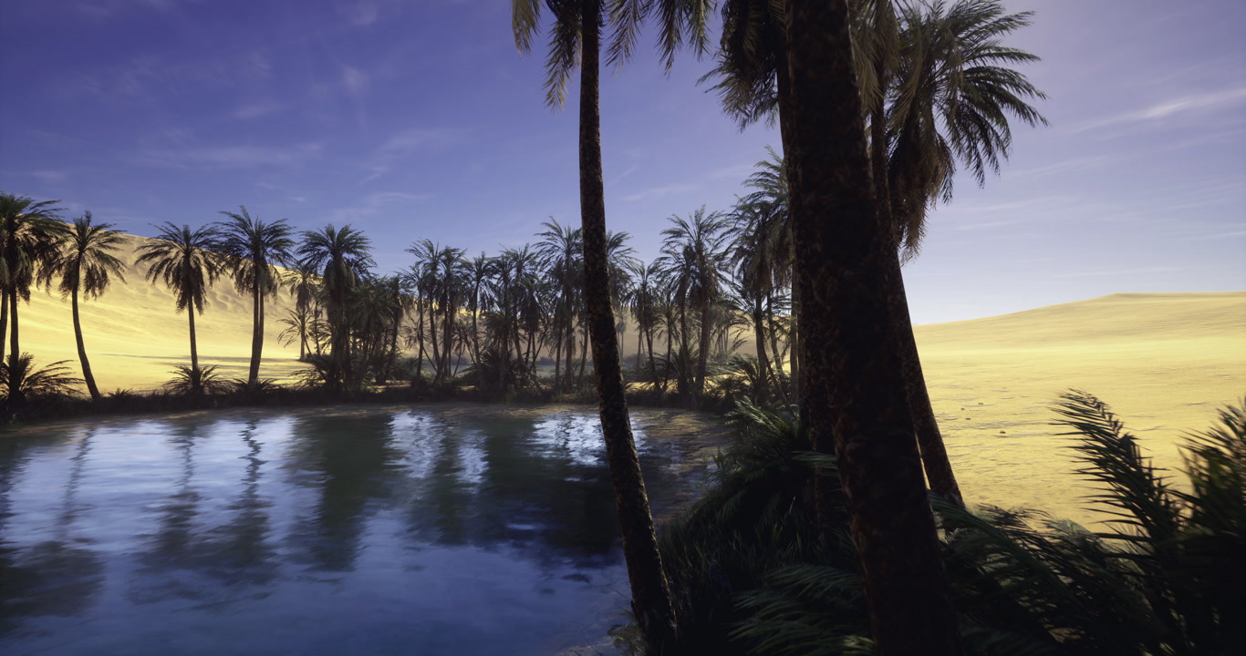 Gentle morning light caresses palms and shimmering water edge