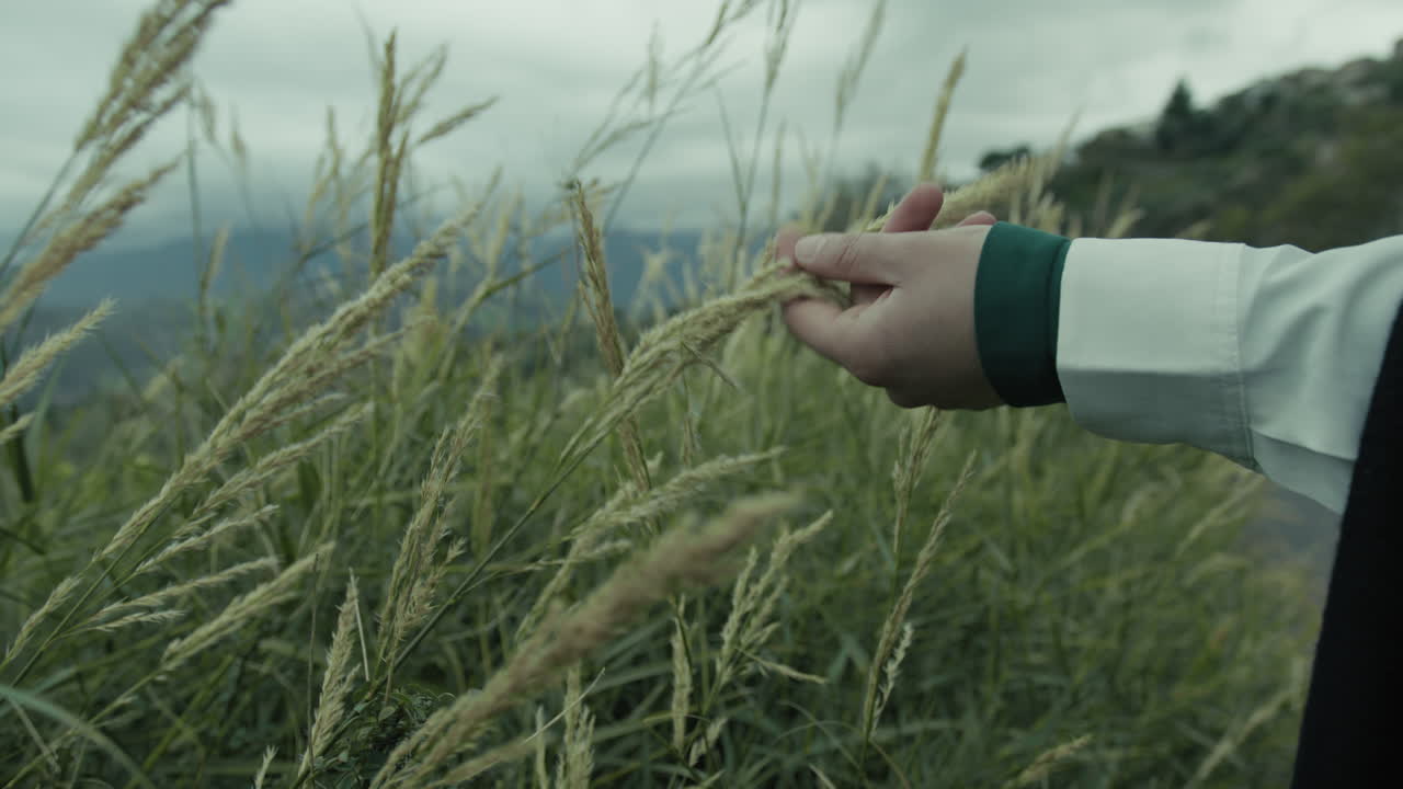 여성의 손은 슬픈 슬의 날에 시골에서 귀를 만니다.