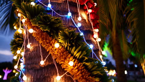 palm trees decorated with christmas lights at night