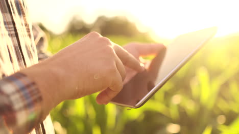 Bauer-Bei-Sonnenuntergang-Auf-Einem-Feld-Mit-Einem-Tablet-Computer.-Zeitlupe