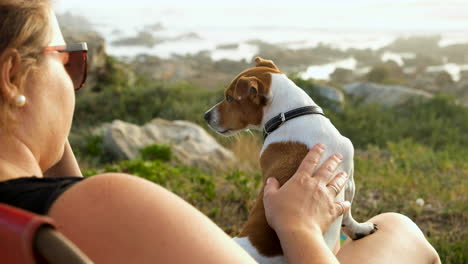 Lovable-Jack-Russell-terrier-on-lap-of-caucasian-female,-view-over-coastline