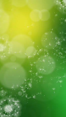 abstract dandelion animated green background with yellow shine. the wind blows dandelion seeds. loop motion graphic. vertical video.