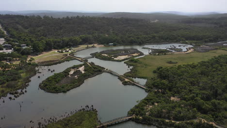 Rotating-aerial-of-wetland-reserve-and-river-in-Anglesea,-Australia