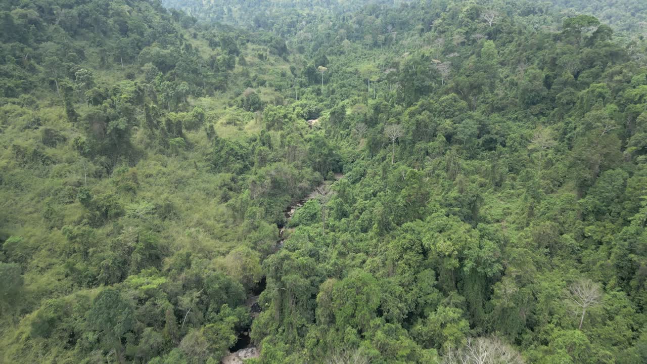 Arial view of a valley covered in dense jungle with a river cutting trough it.