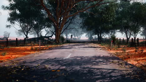 lonely road in the australian outback