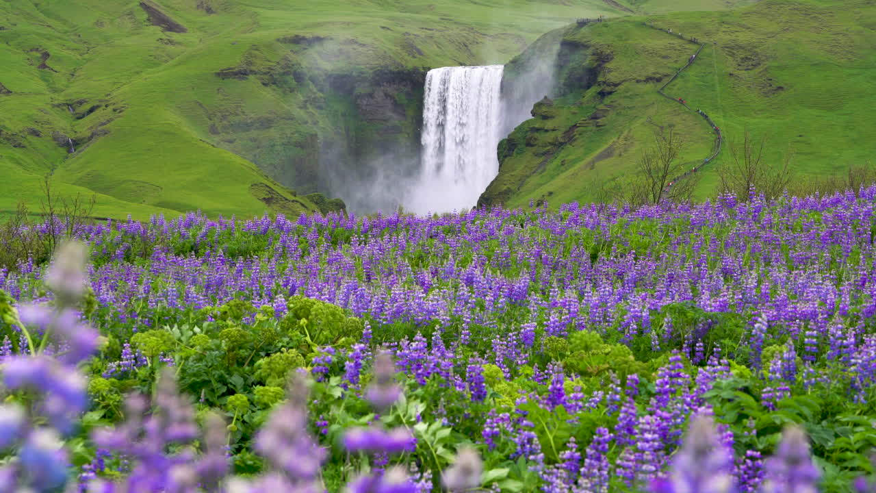 la cascada de skogafoss en islandia en verano.
