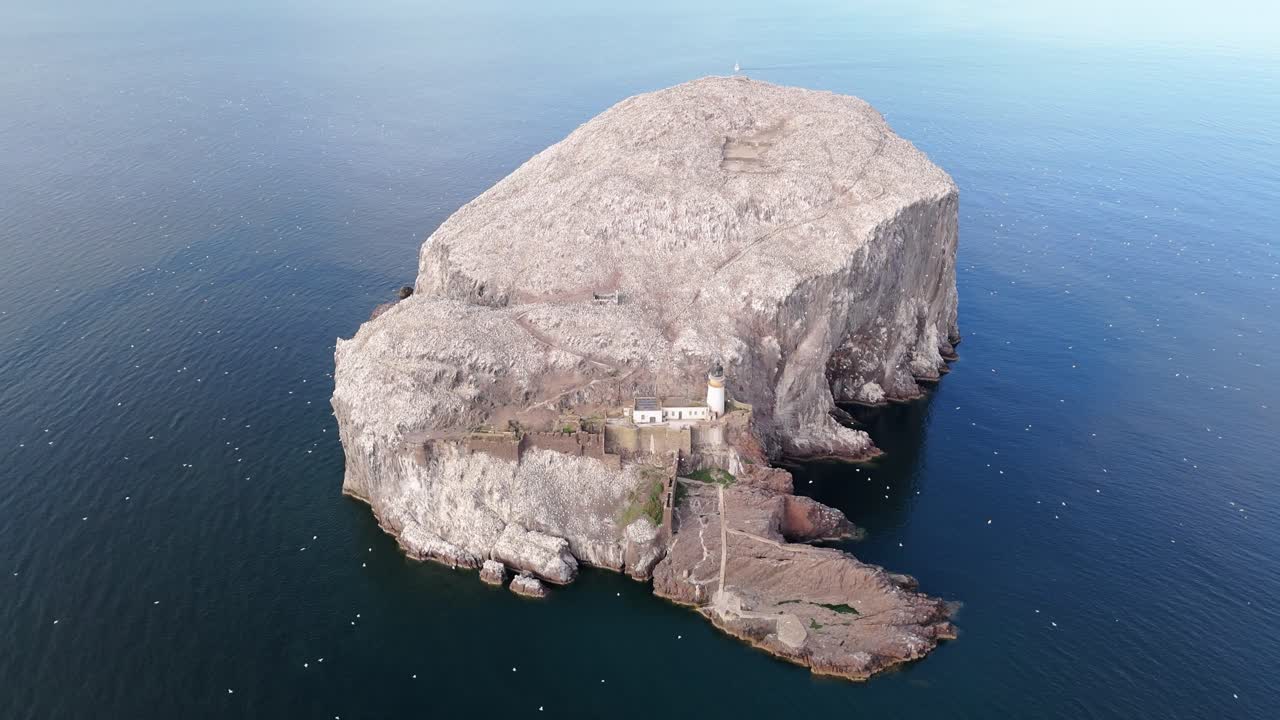 Aerial drone footage of Bass Rock, an island off the coast of North Berwick, Scotland, in the warm summer sunshine. North Sea, rugged cliffs, seabird colonies.